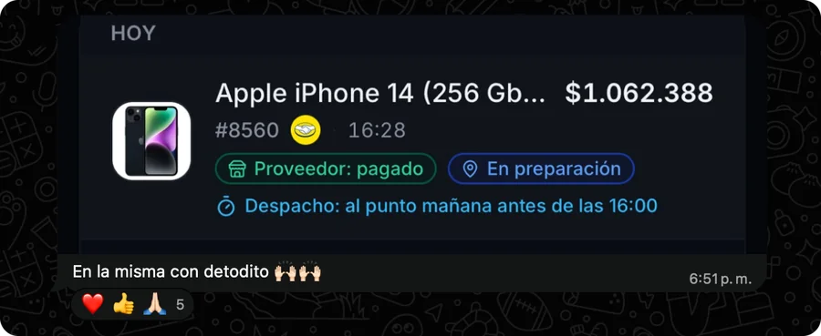 Captura de WhatsApp: venta de un Apple iPhone 14 (256 GB) por $1.062.388, orden #8560, con proveedor pagado y en preparación, y el mensaje «En la misma con detodito»